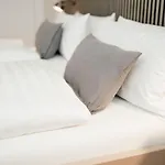 C99 Frank Apartamento Colónia